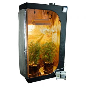 Best Hydro Grow Kit